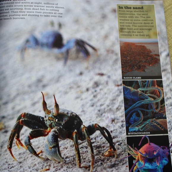 2 ~ Children's Books ~ National Geographic & Scholastic ~ 2 Great Books - Picture 9 of 10